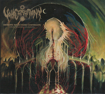 Entropic reflections continuum: dimensio