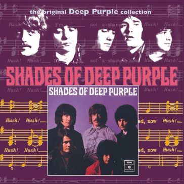 Shades of deep purple