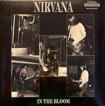 In the bloom - italy november 26,198