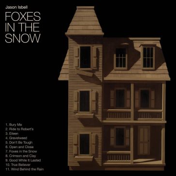 Foxes in the snow