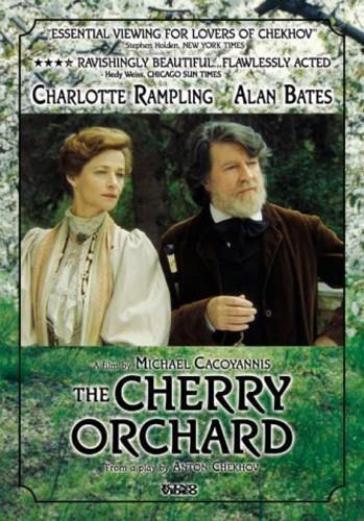 Cherry orchard