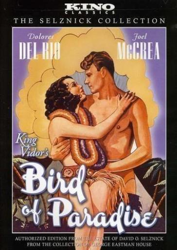 Bird of paradise
