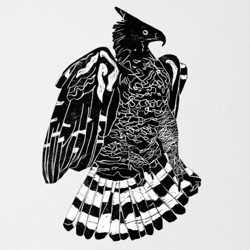Crowned eagle
