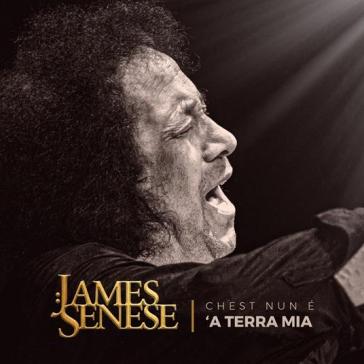 Chest nun è 'a terra mia