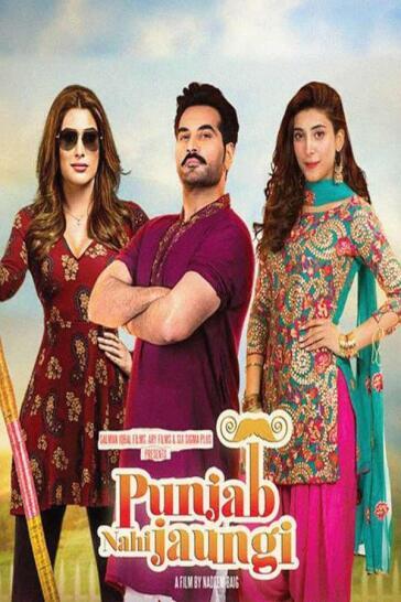 Punjab Nahi Jaungi