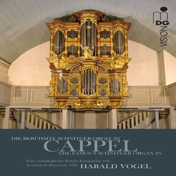 Famous schnitger organ in