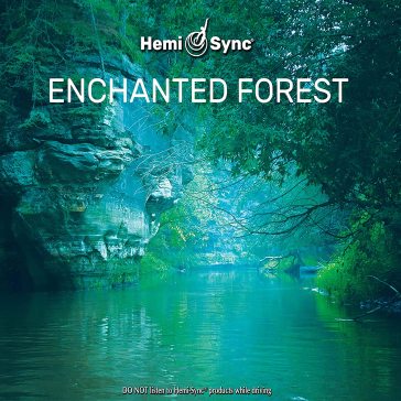 Enchanted forest