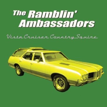 Vista cruiser country squire