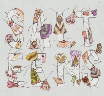 Moths