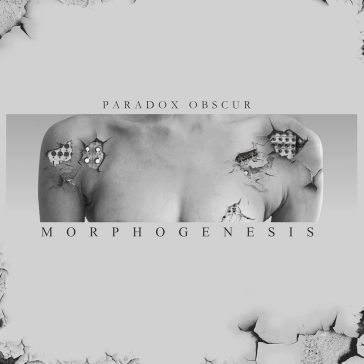 Morphogenesis - silver vinyl