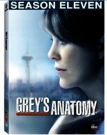 Grey's anatomy:season 11