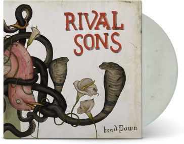 Head down (vinyl california kingsnake)