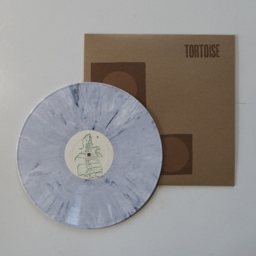 Tortoise (white w/ black streaks)