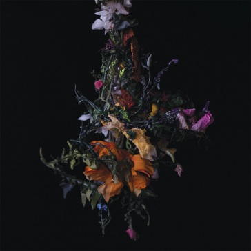 Nature morte (lavender vinyl)