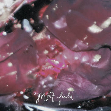 Aprender a ser (fruit punch vinyl)