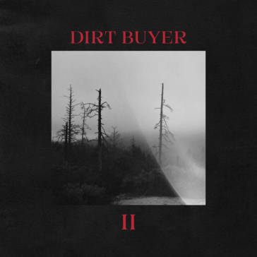Dirt buyer ii