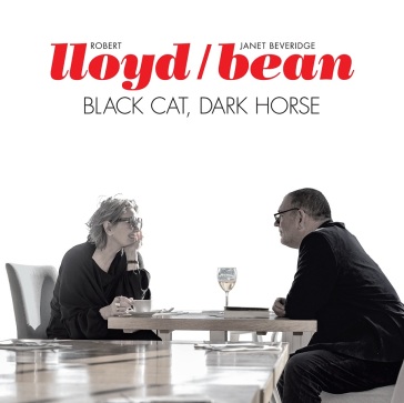Black cat, dark horse