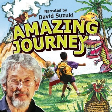 Amazing journey