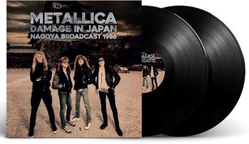 Damage in japan