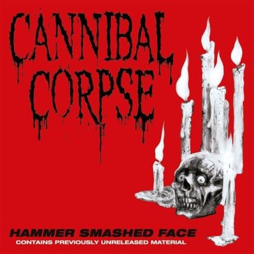 Hammer smashed face