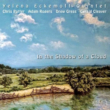In the shadow of a cloud