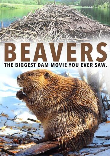 Beavers
