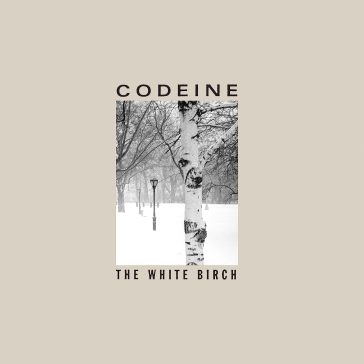 White birch