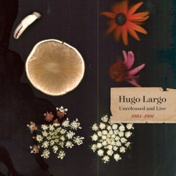Huge, large and electric: hugo largo 198