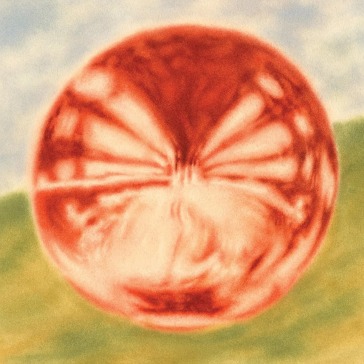 Heart of the artichoke