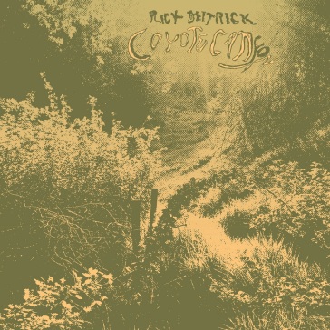 Coyote canyon