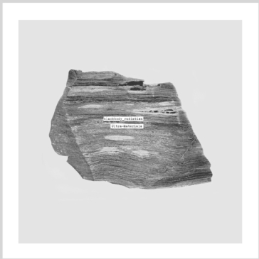 Ultra-materials