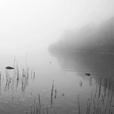 This river only brings poison