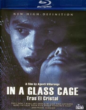 In A Glass Cage