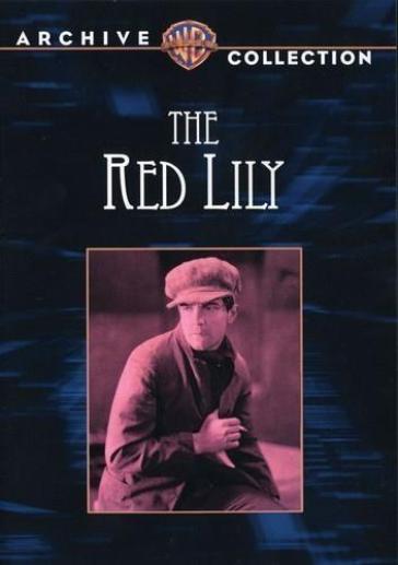 Red lily