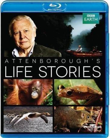Life stories