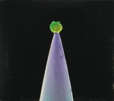 Gabriel peter-new blood-special edn (2cd