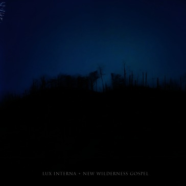 New wilderness gospel