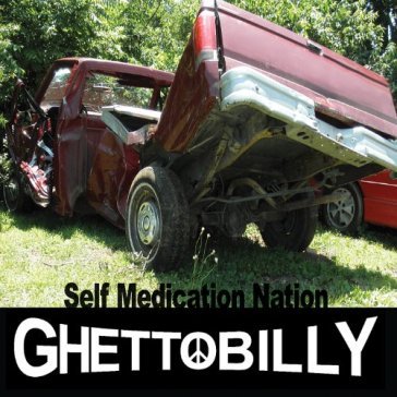 Self medication nation (cdr)