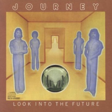 Look into the future