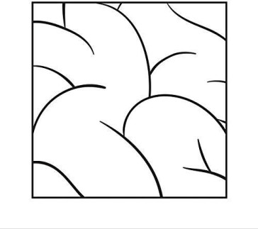 Intellexual (lp)