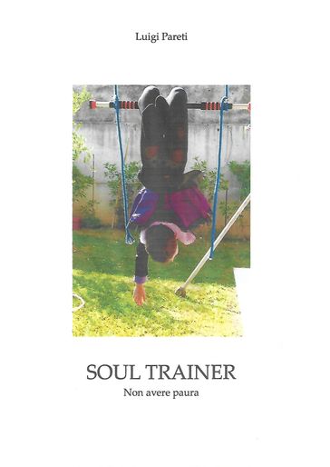 Soul Trainer