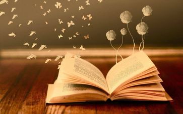 LIBRO SEGRETO