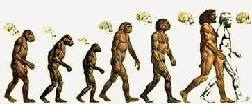 SULLA ORIGINE DELLE SPECIE