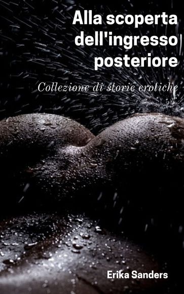 Alla scoperta dell'ingresso posteriore
