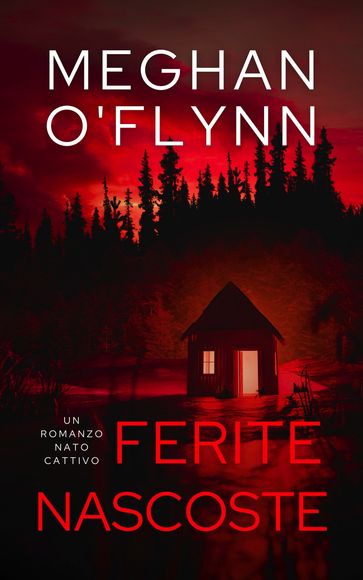 Ferite Nascoste