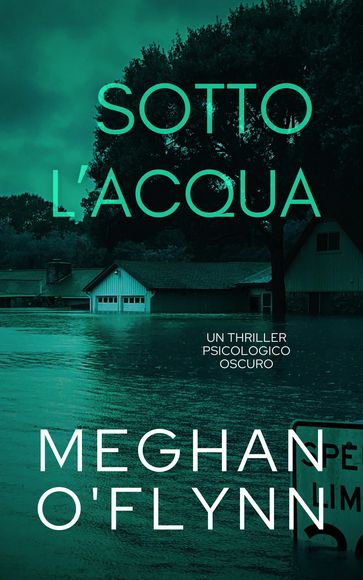 Sotto l'Acqua: Un Thriller Psicologico Oscuro