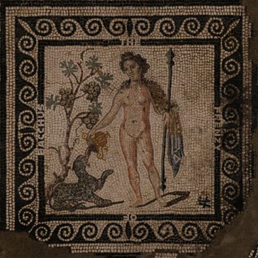The frenzy of bacchus