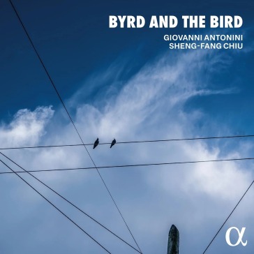 Byrd and the bird