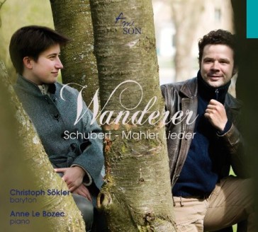Lieder (schubert)/lieder eines fahrenden