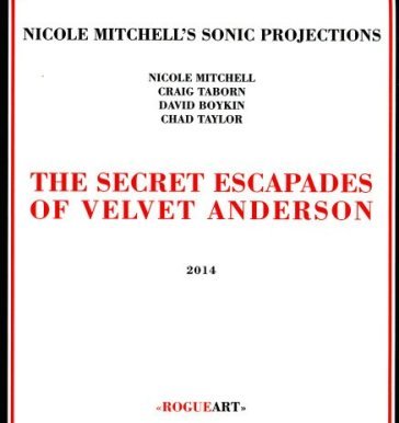 Secret escapades of velvet anderson